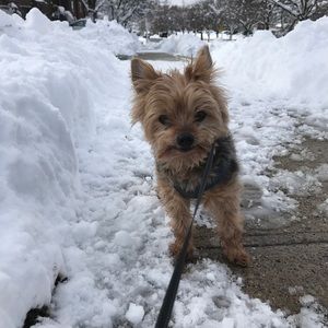 Meet your Posher, Joanne